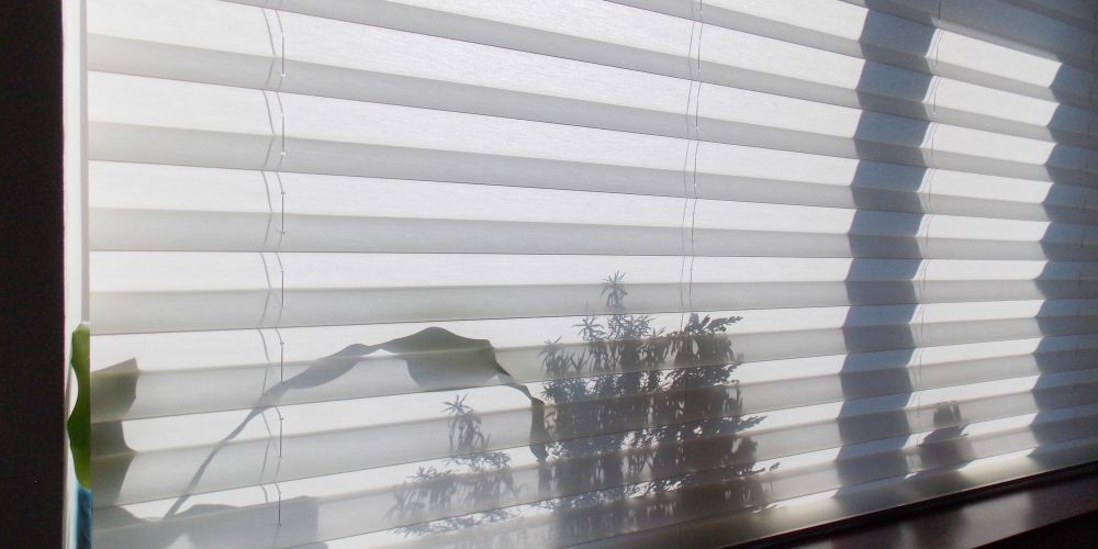 Pleated blinds for windows