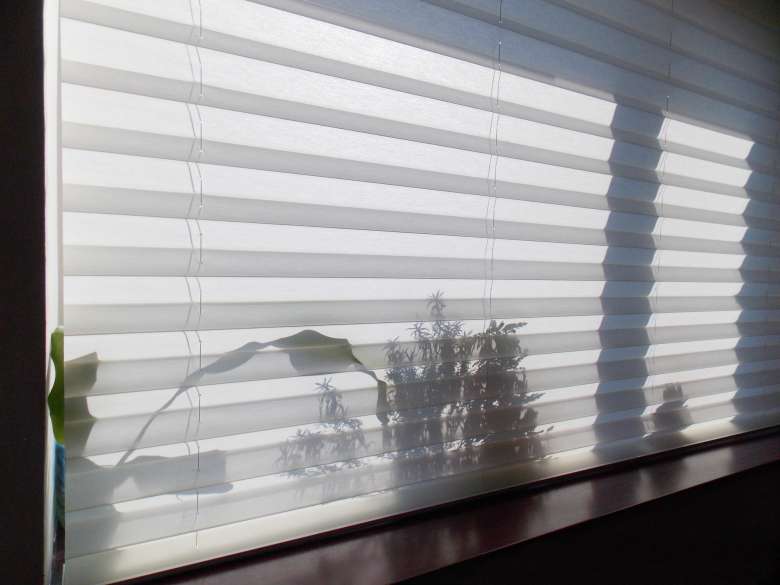 Pleated blinds