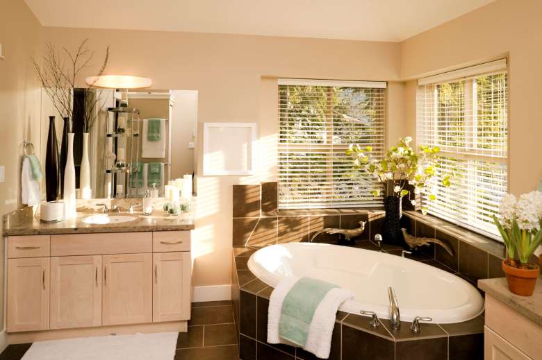 Right bathroom window treatment