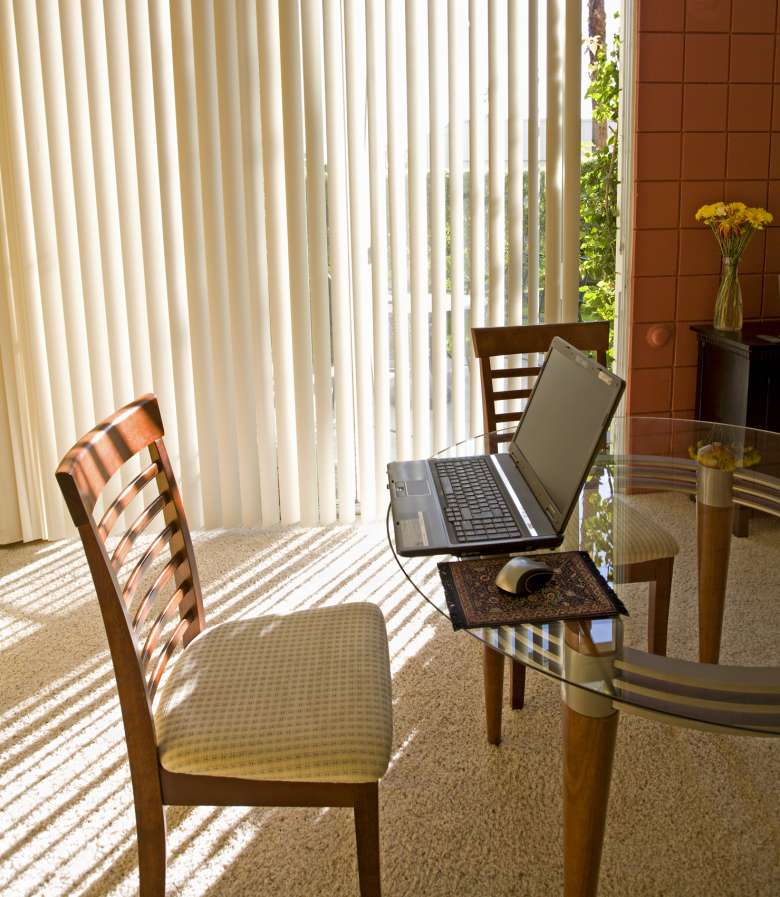 Vertical blinds window